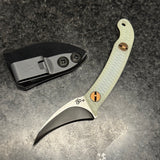 Ed's Manifesto Elvia C