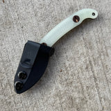 Ed's Manifesto Elvia C