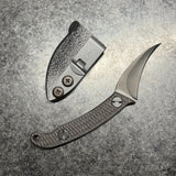 Ed's Manifesto Elvia C