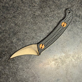 Ed's Manifesto Elvia C