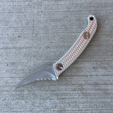 Ed's Manifesto Elvia C