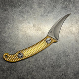 Ed's Manifesto Elvia C