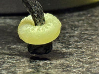 TCNC Lanyard Bead