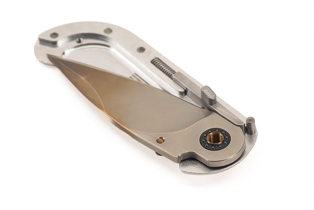 El Burrito pivot and caged ceramic bearing assembly